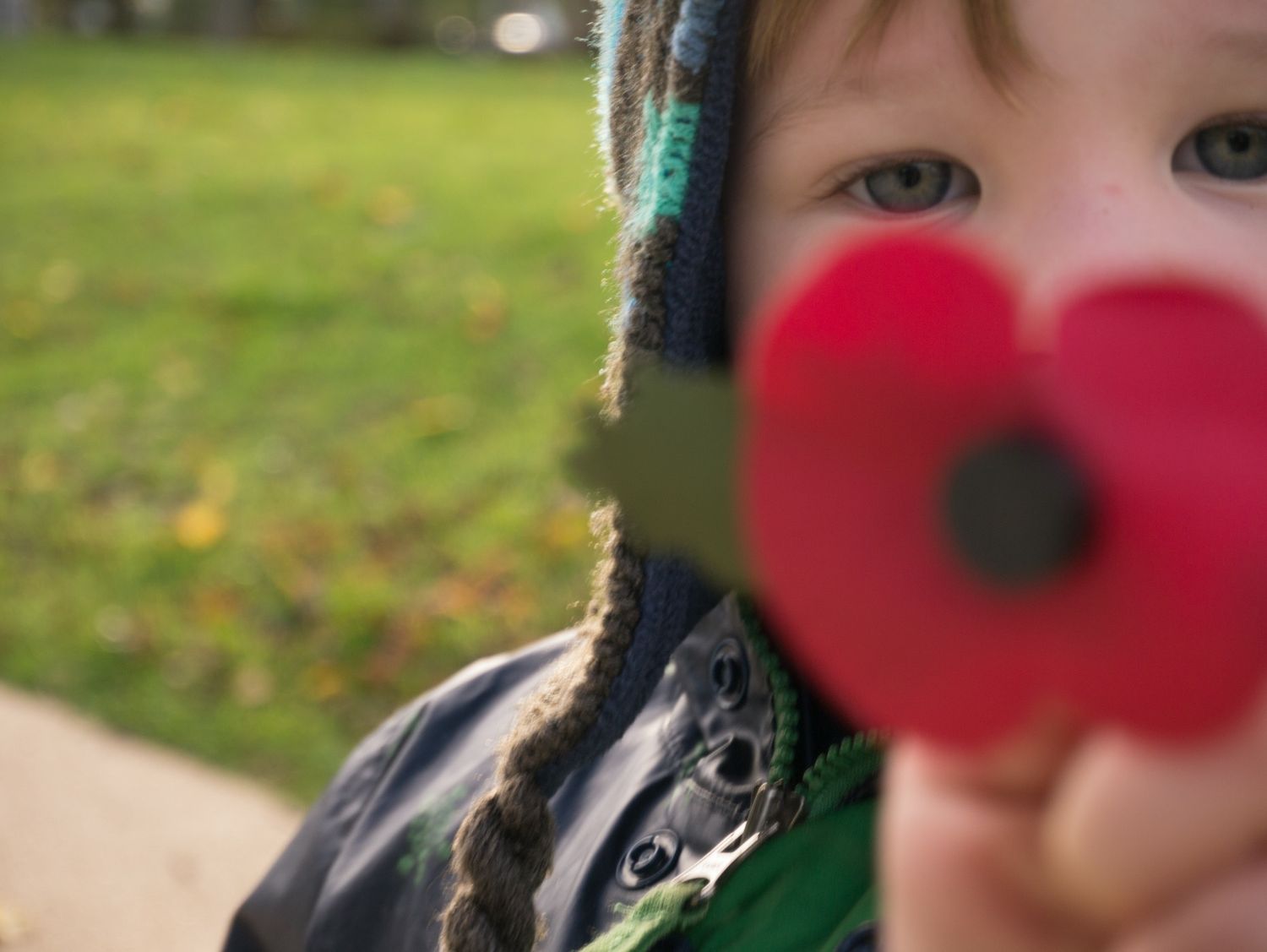 Child holding red poppy flower to face, Remembrance Day candid portrait, North Vancouver family lifestyle photographer