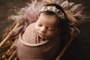 tampa photographer