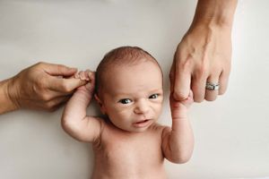 tampa newborn photographer