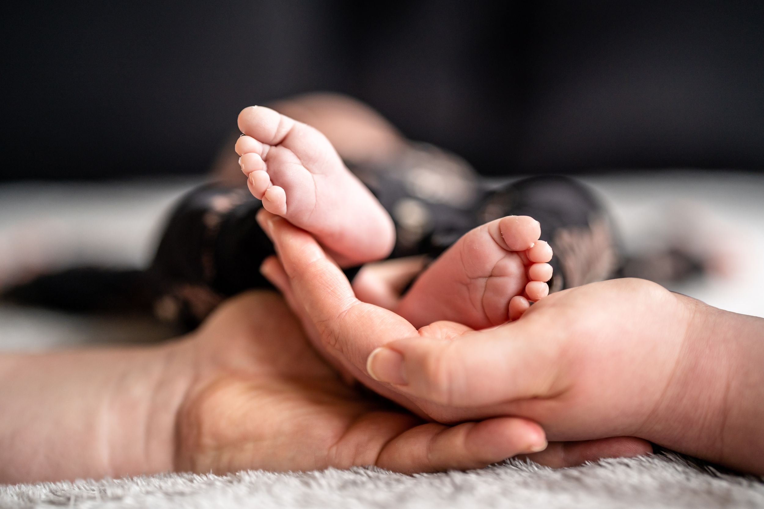 Close-up of tiny baby feet resting in adult hands.