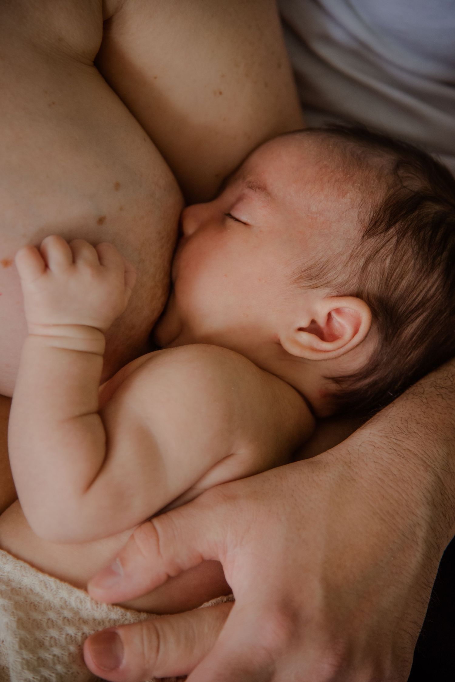 Neugeborenenfotos Berlin Neugeborenenfotografie mit Eltern Babyfotograf Babyshooting Emotionale Babyfotos