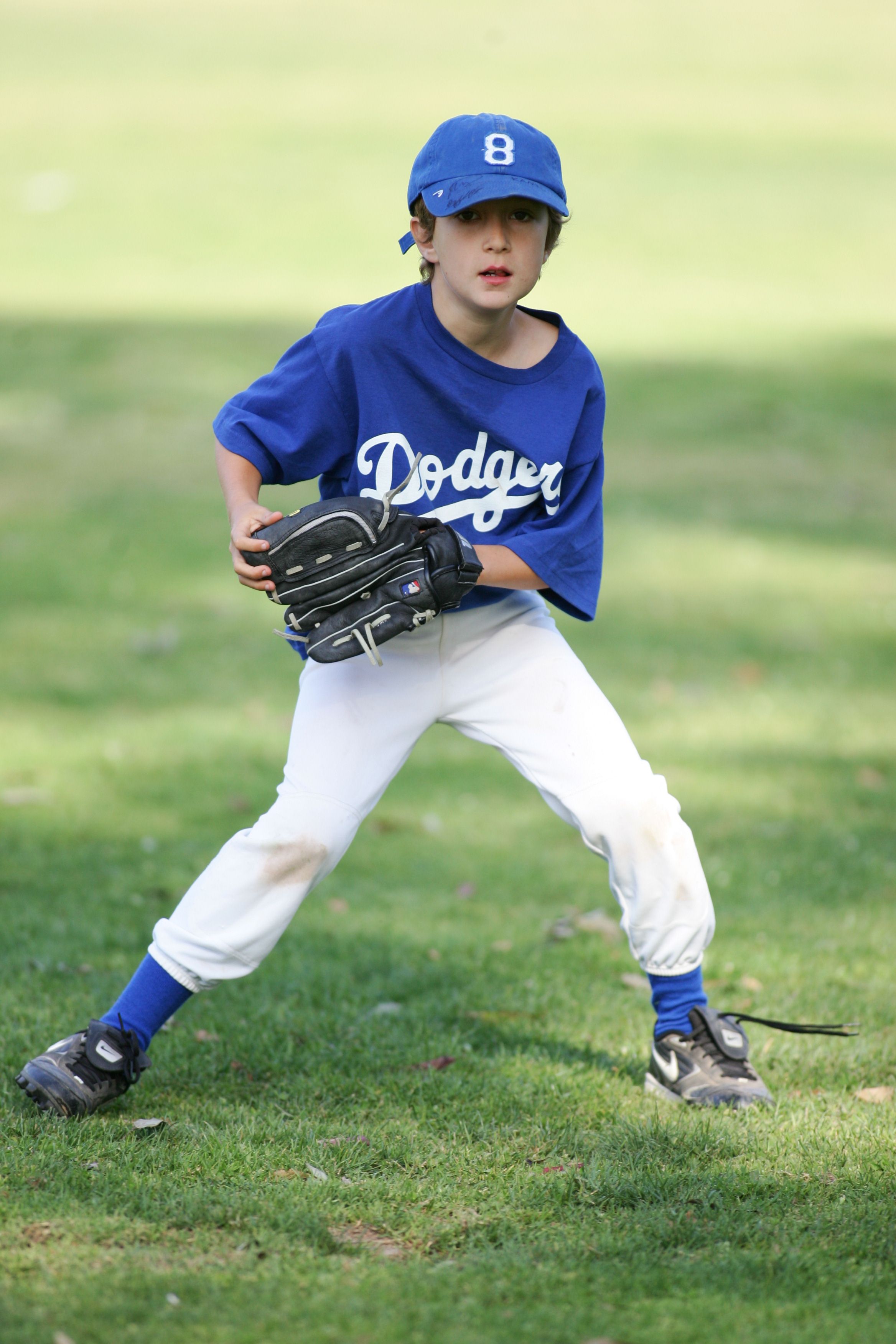 Young baseball player in fielding stance wearing blue Dodgers uniform number 8.