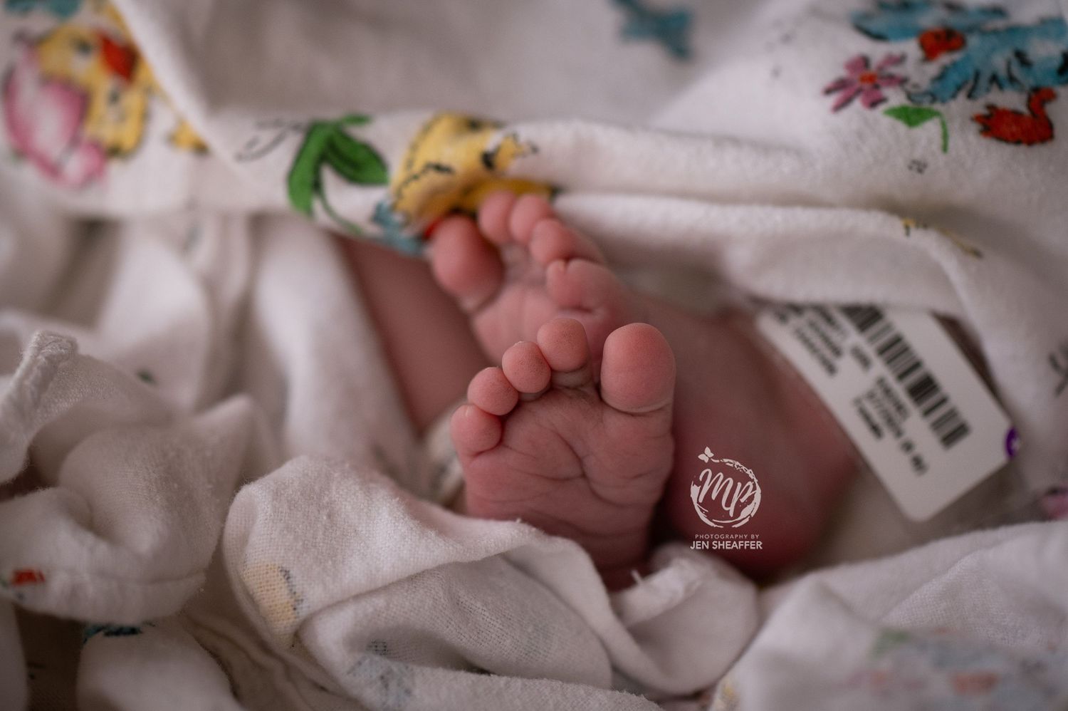 fresh 48 hospital photos in lancaster pa toes