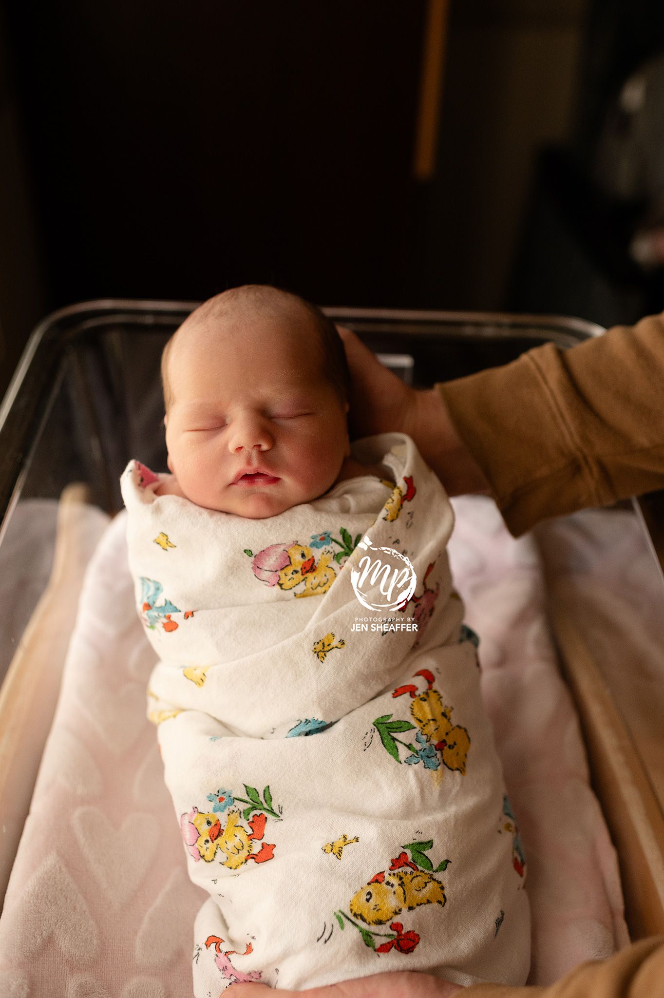 fresh 48 hospital photos