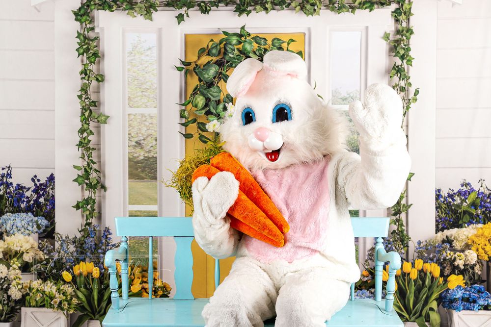 easter bunny photo, cute easter bunny photo, indoor easter bunny portraits