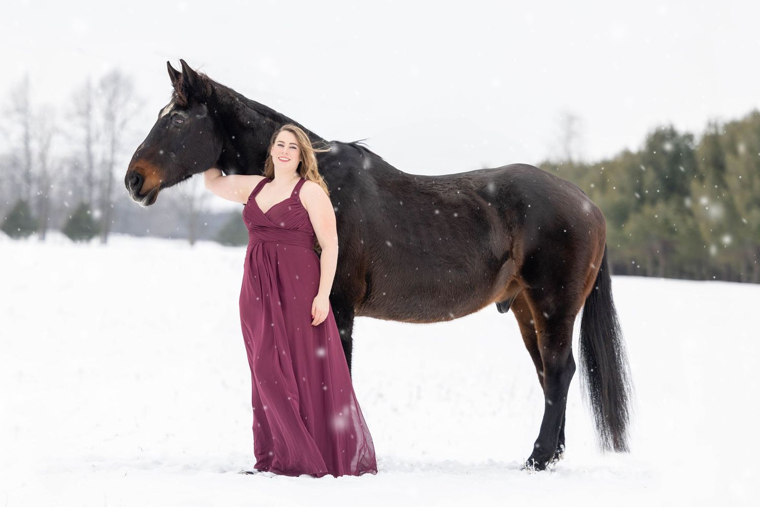 Girl in red dress with large bay horse in a winter landscape