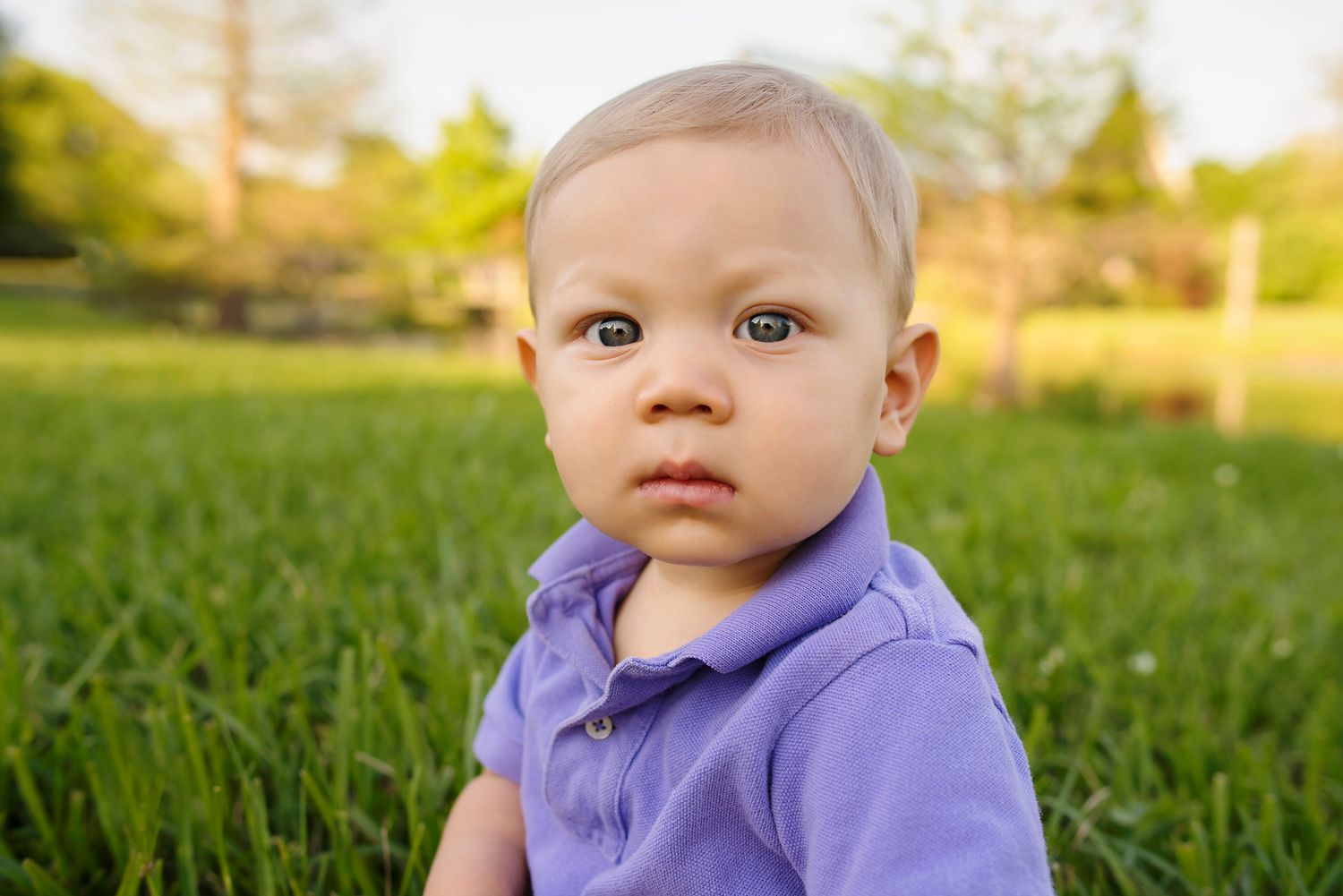 An adorable baby in a purple polo shirt sits in green grass during a sunny outdoor portrait.