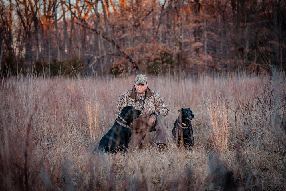 Three dogs and person standing in tall grass during golden hour.