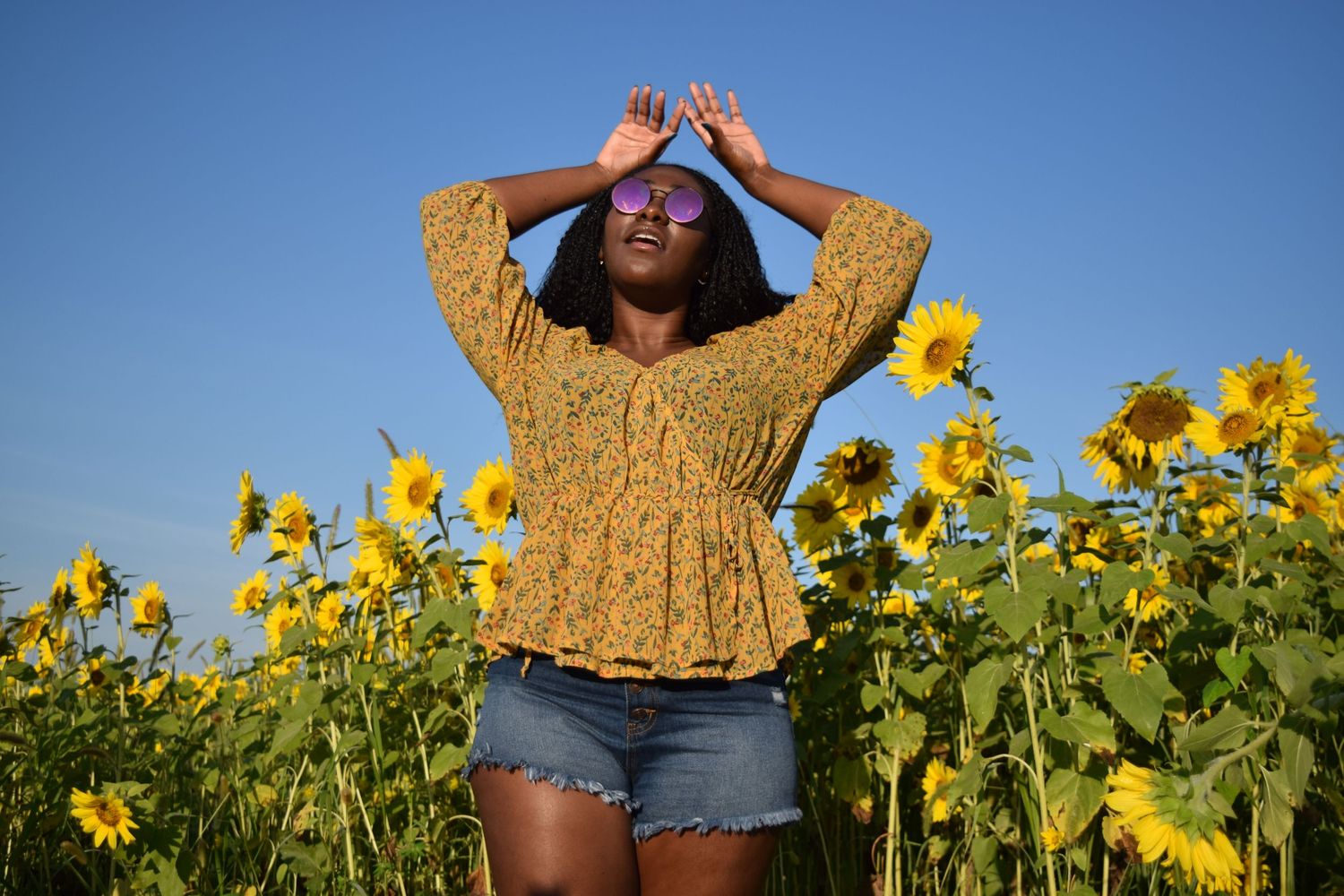A beautiful sunny day with a model in a yellow shirt and jean shorts standing in a sunflower field with her hands above her head
