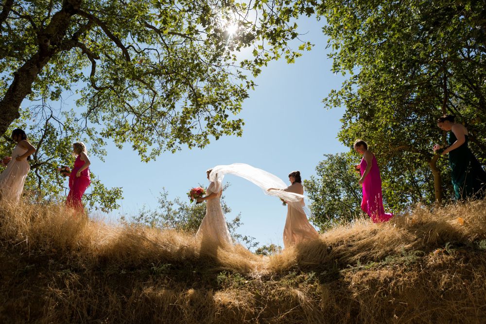 People in vibrant dresses dancing on a sunlit hilltop beneath green tree branches on a summer day.  Indian Springs