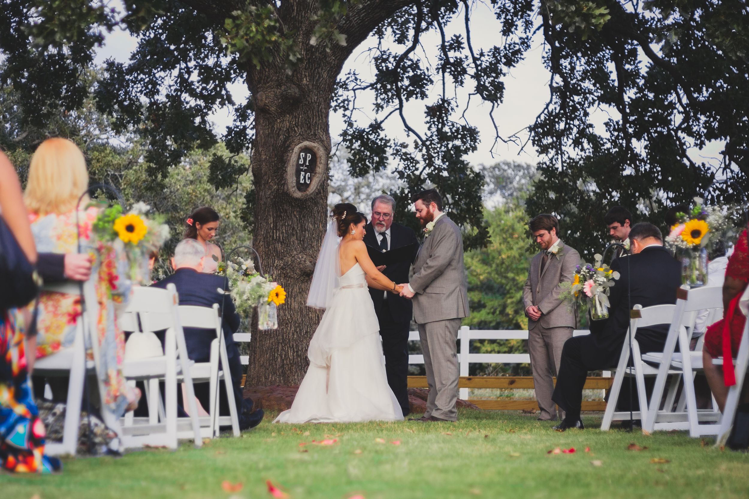 Outdoor wedding ceremony under a large tree with white chairs and colorful decorations.