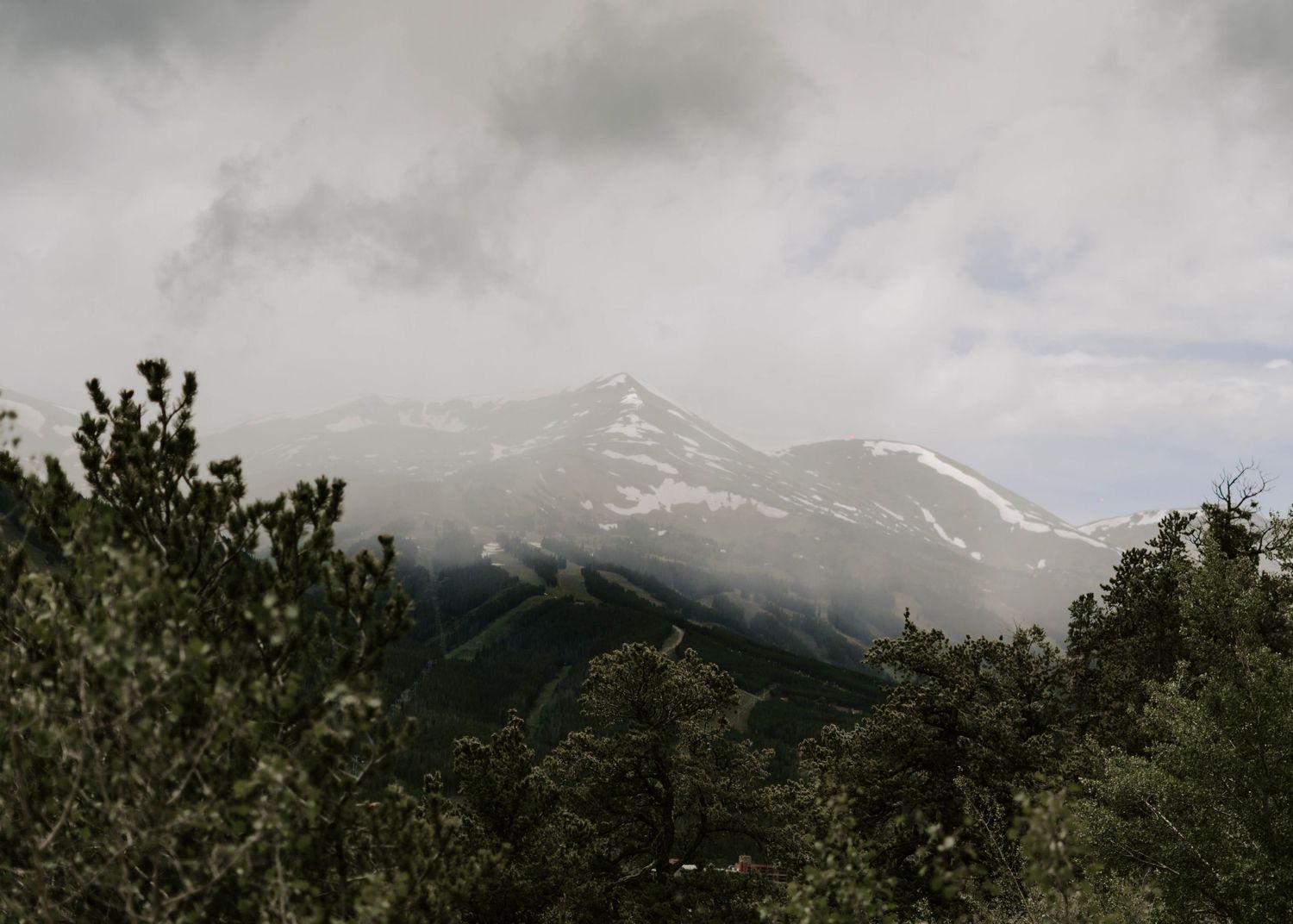 Misty mountain landscape with snow-capped peaks and evergreen trees in the foreground.
