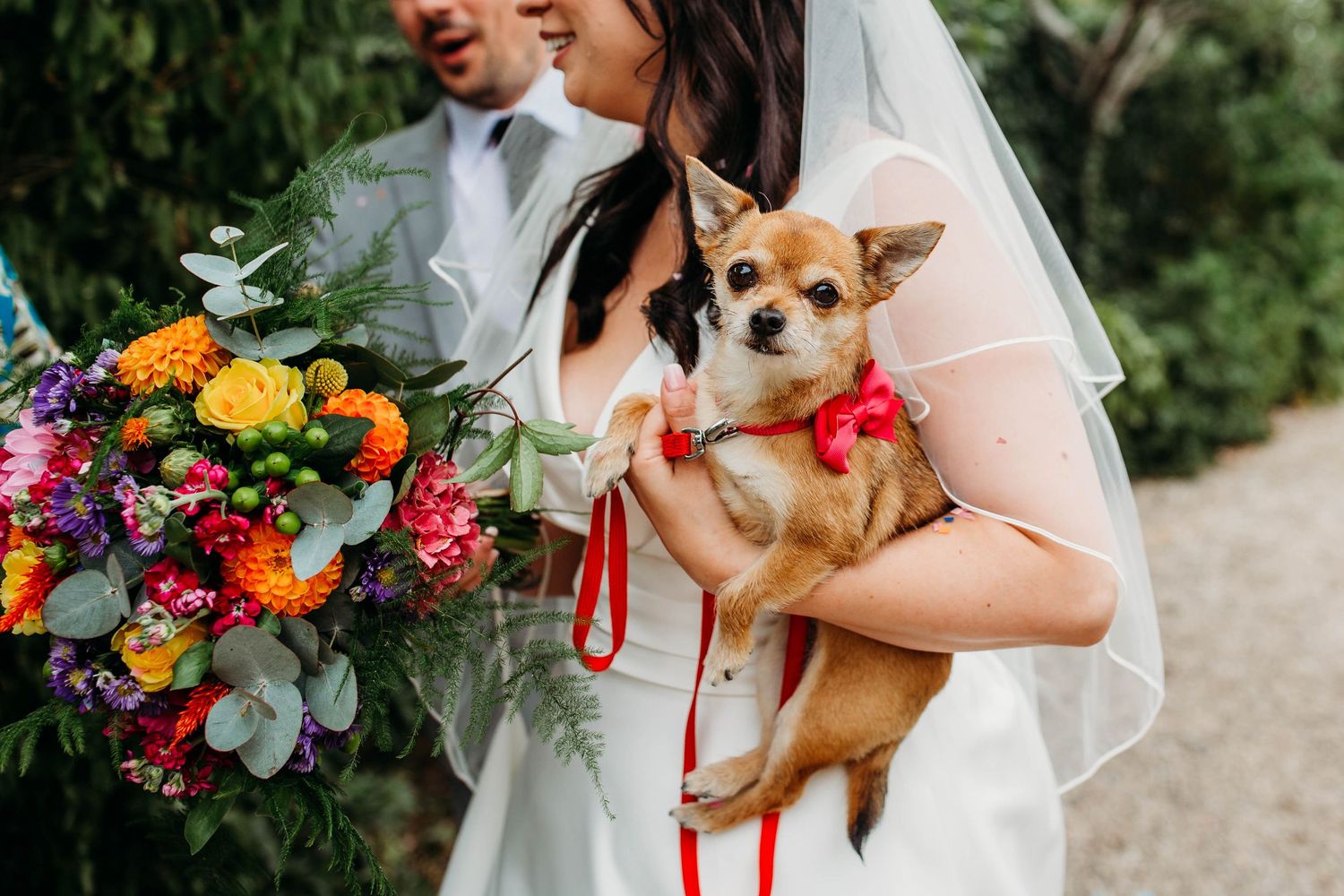 Wedding couple holding a small dog wearing a floral collar alongside vibrant bouquet.