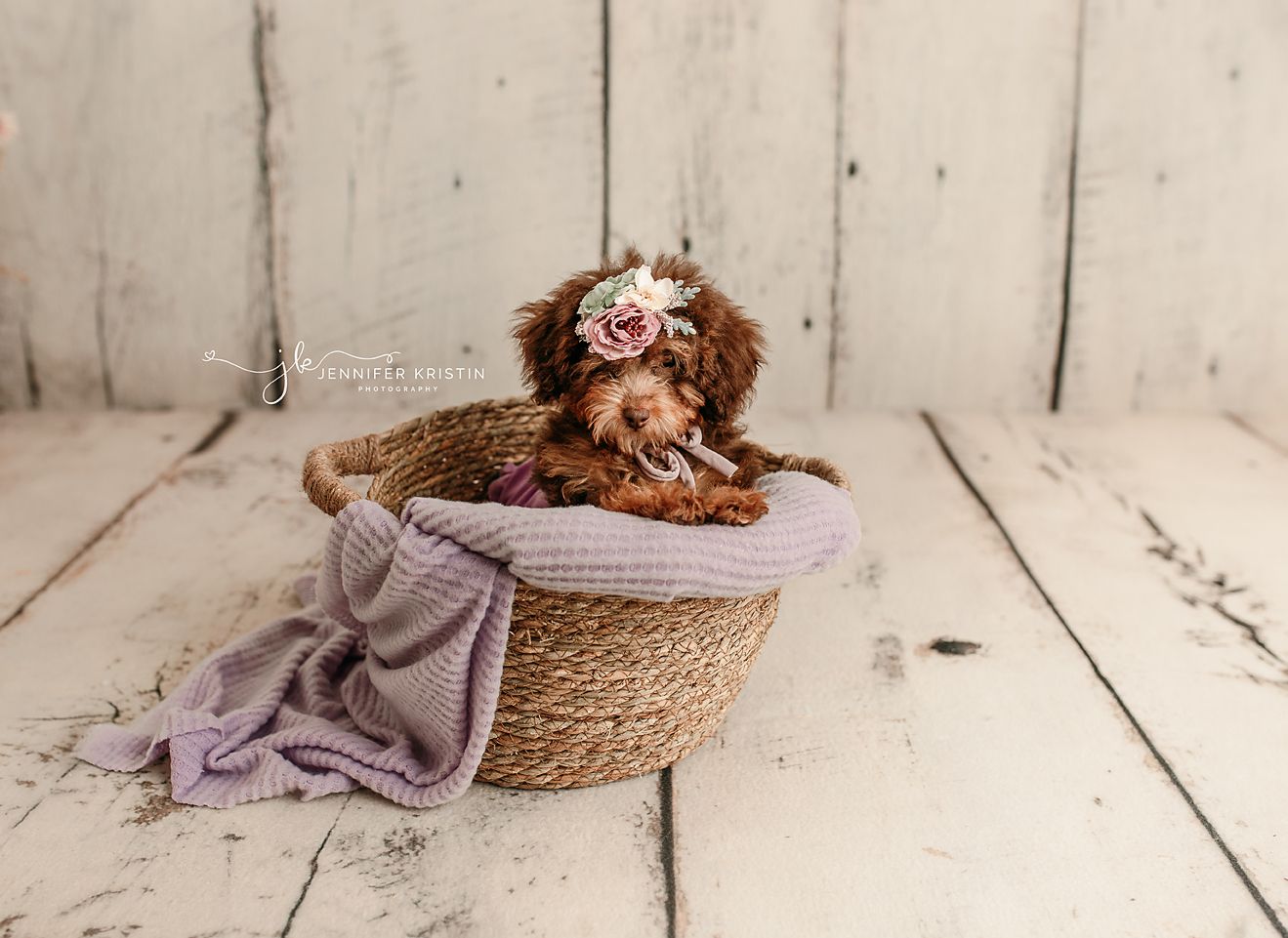 Chillicothe Ohio Newborn Photographer
