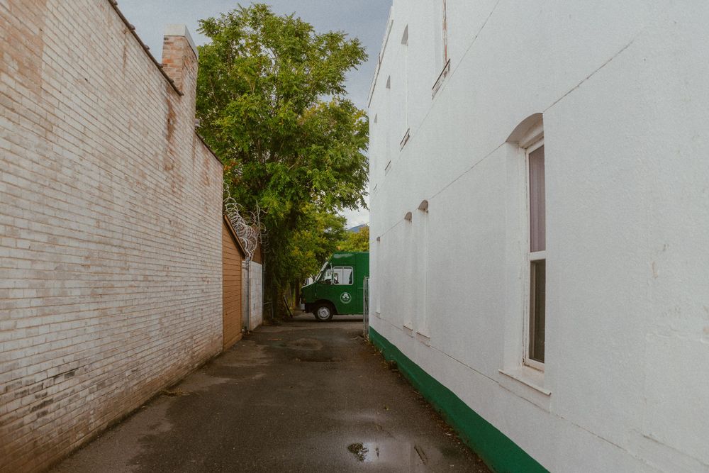 Narrow alley between white brick buildings with a green tree growing in the middle.