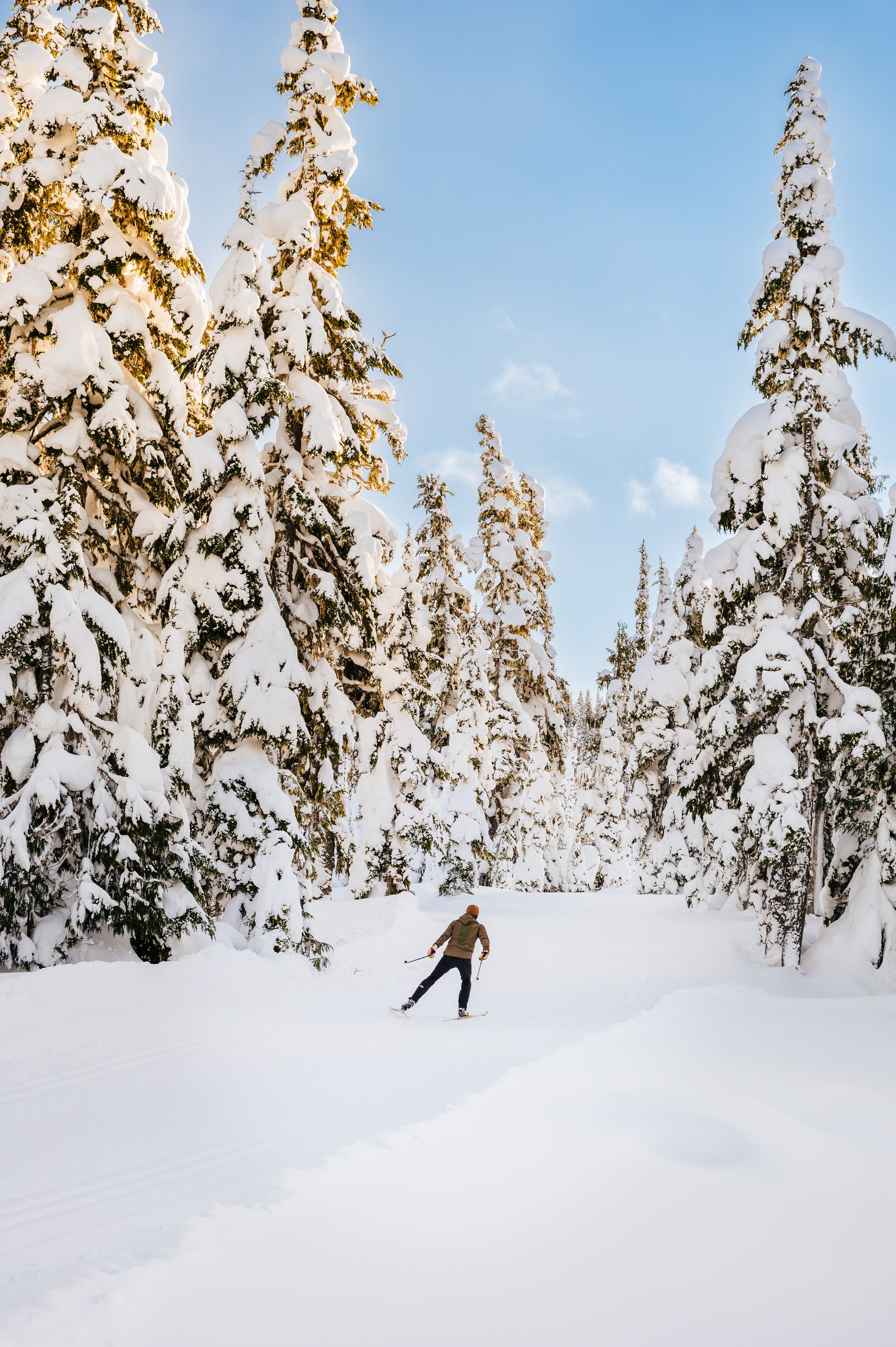 Skiing on Vancouver Island Driftwoods Photography