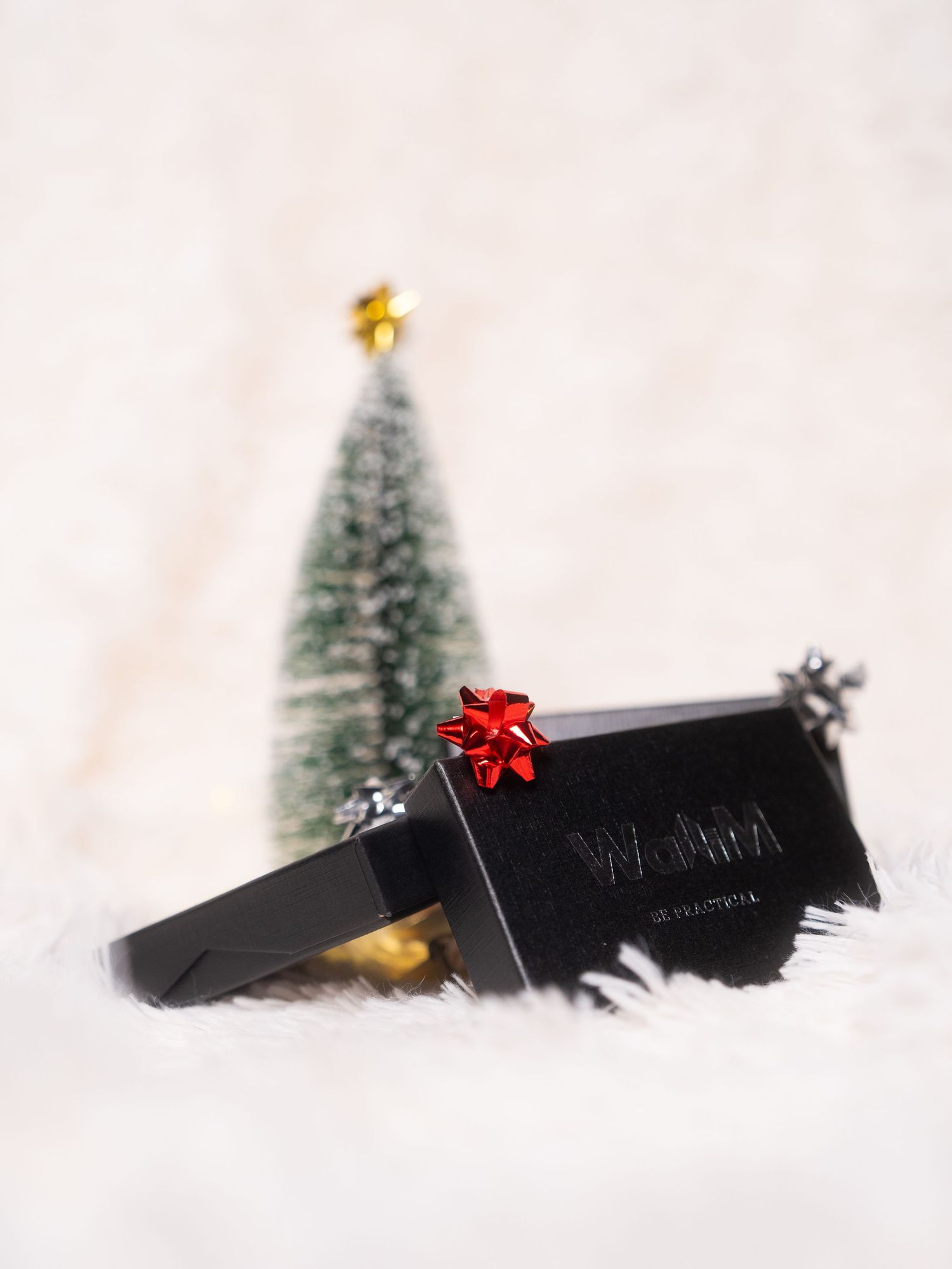 A black gift box with a red bow next to a miniature Christmas tree on white snow.
