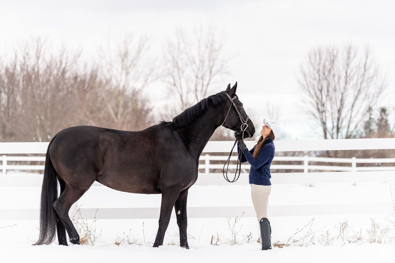 Woman standing in front of a black horse with a wintery background