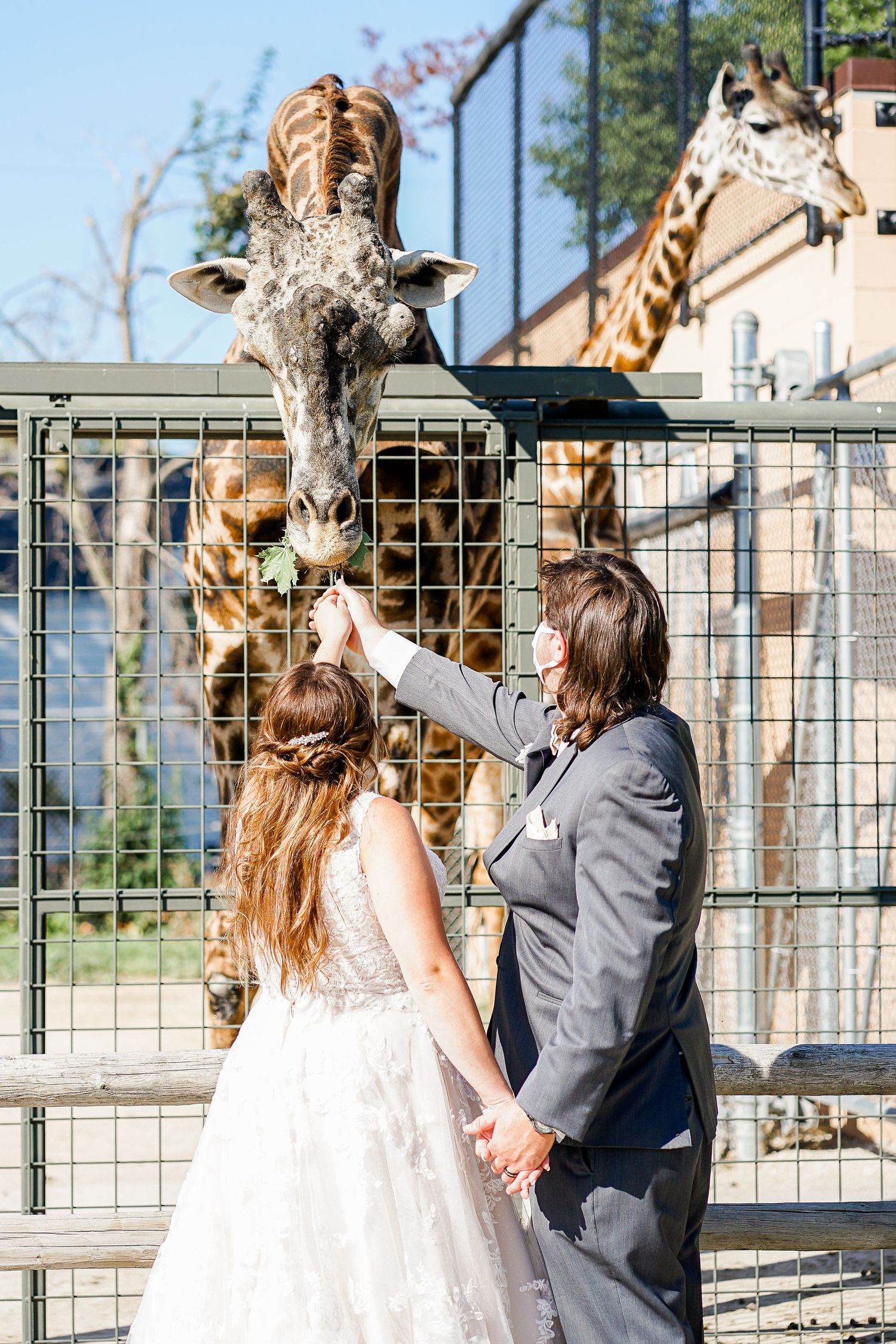 Wedding at Racine Zoo, Racine Wedding Photographer, Zoo Wedding, Wedding at Roma Lodge, Wedding Photos Racine