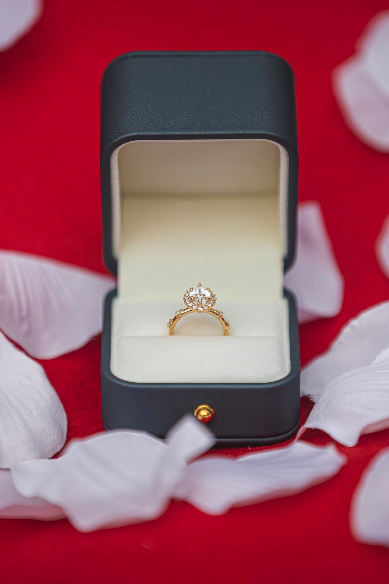 Beautiful engagement ring used at a DC proposal