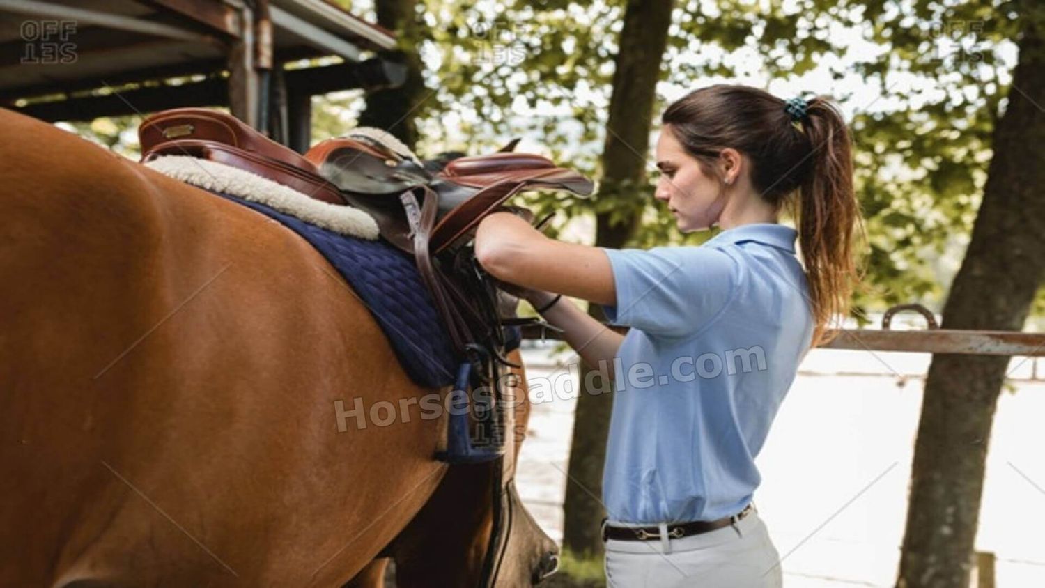 Western Saddle