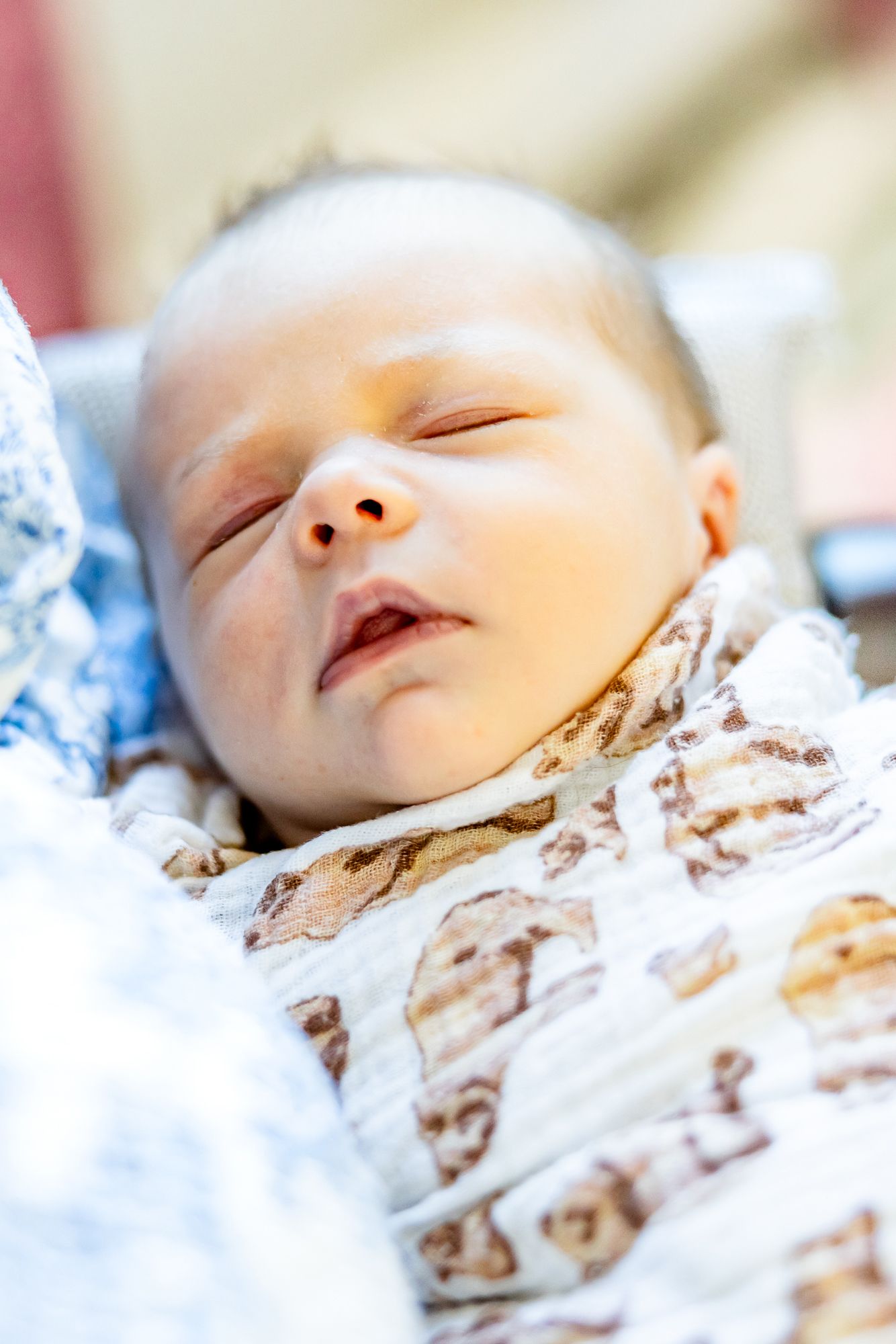 Close up of baby girl wrapped in a blanket with bears during newborn photos in Colorado Springs.