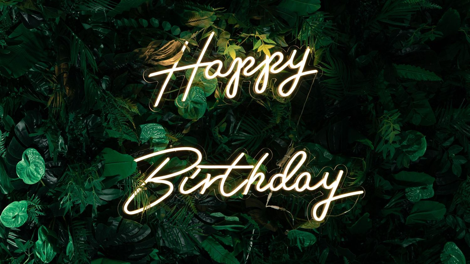 Illuminated 'Happy Birthday' neon sign glowing against a dark green foliage background.