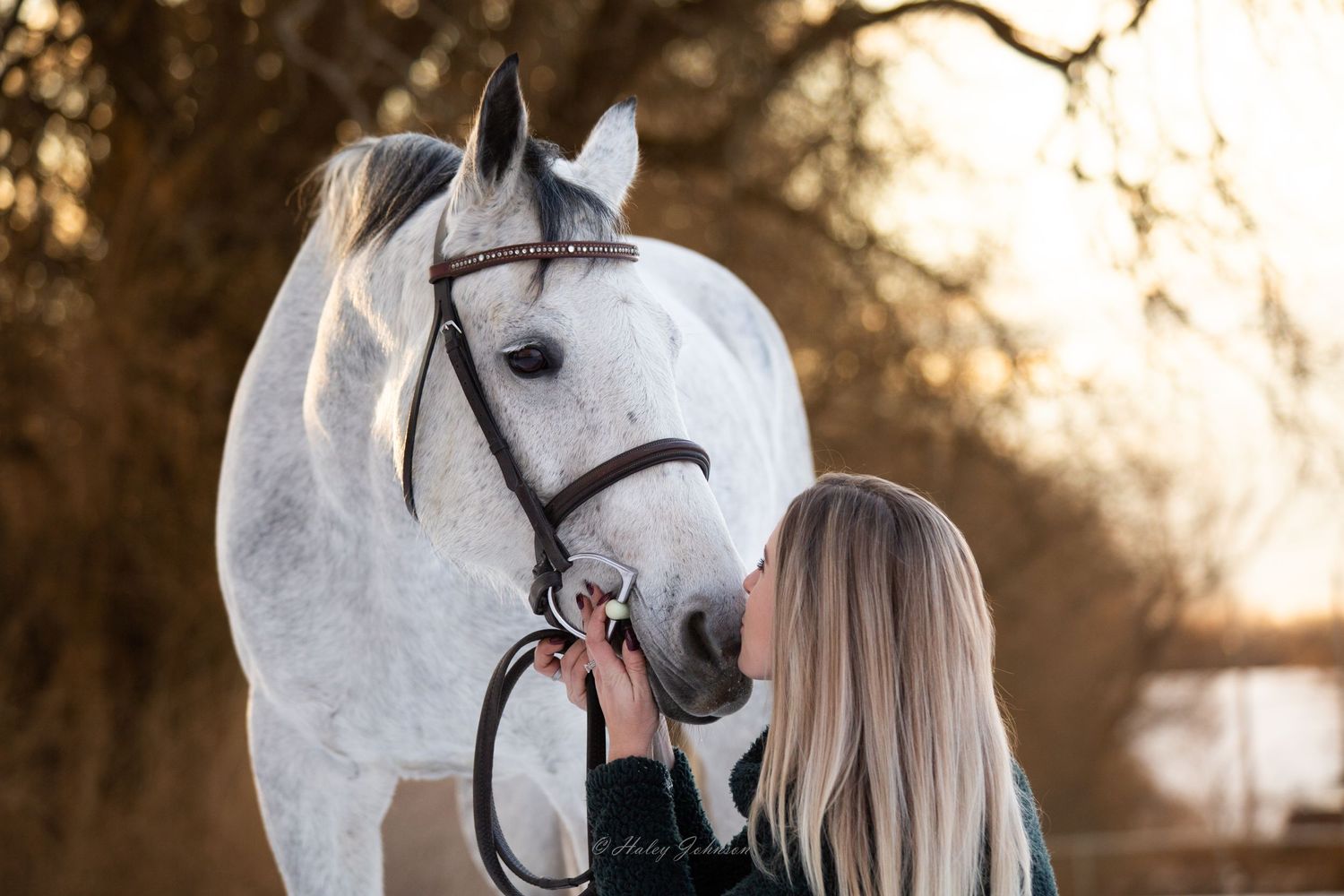 grey horse blonde girl
