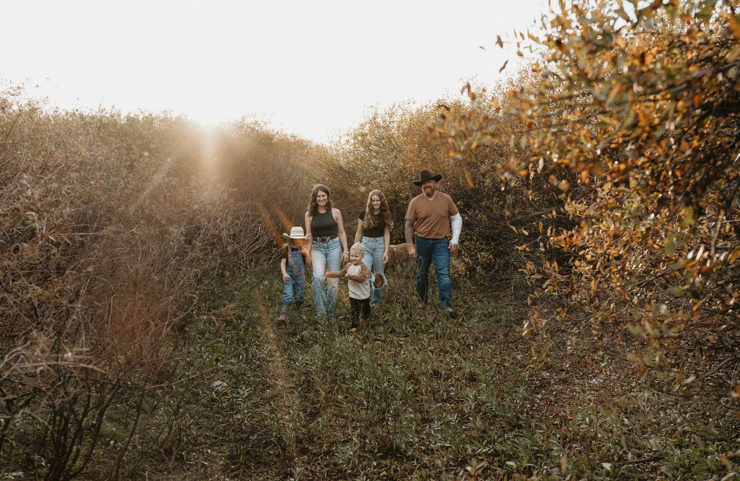 a family of five walking toward the camera in a golden field at sunset, with the sun shining brightly behind them, casting a warm glow.