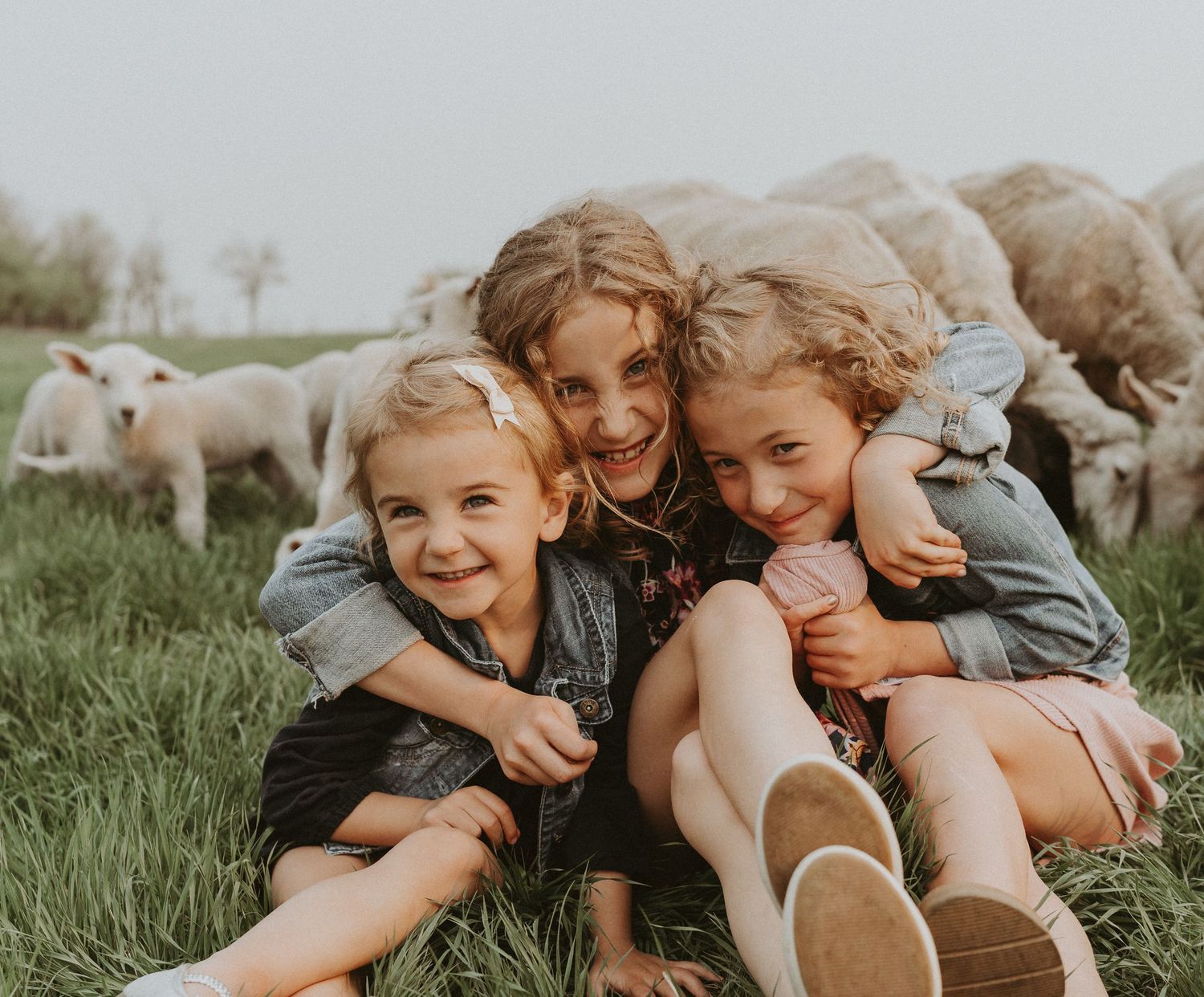 Three sisters giggling in a summer field during golden hour, while their sheep wander in the background.