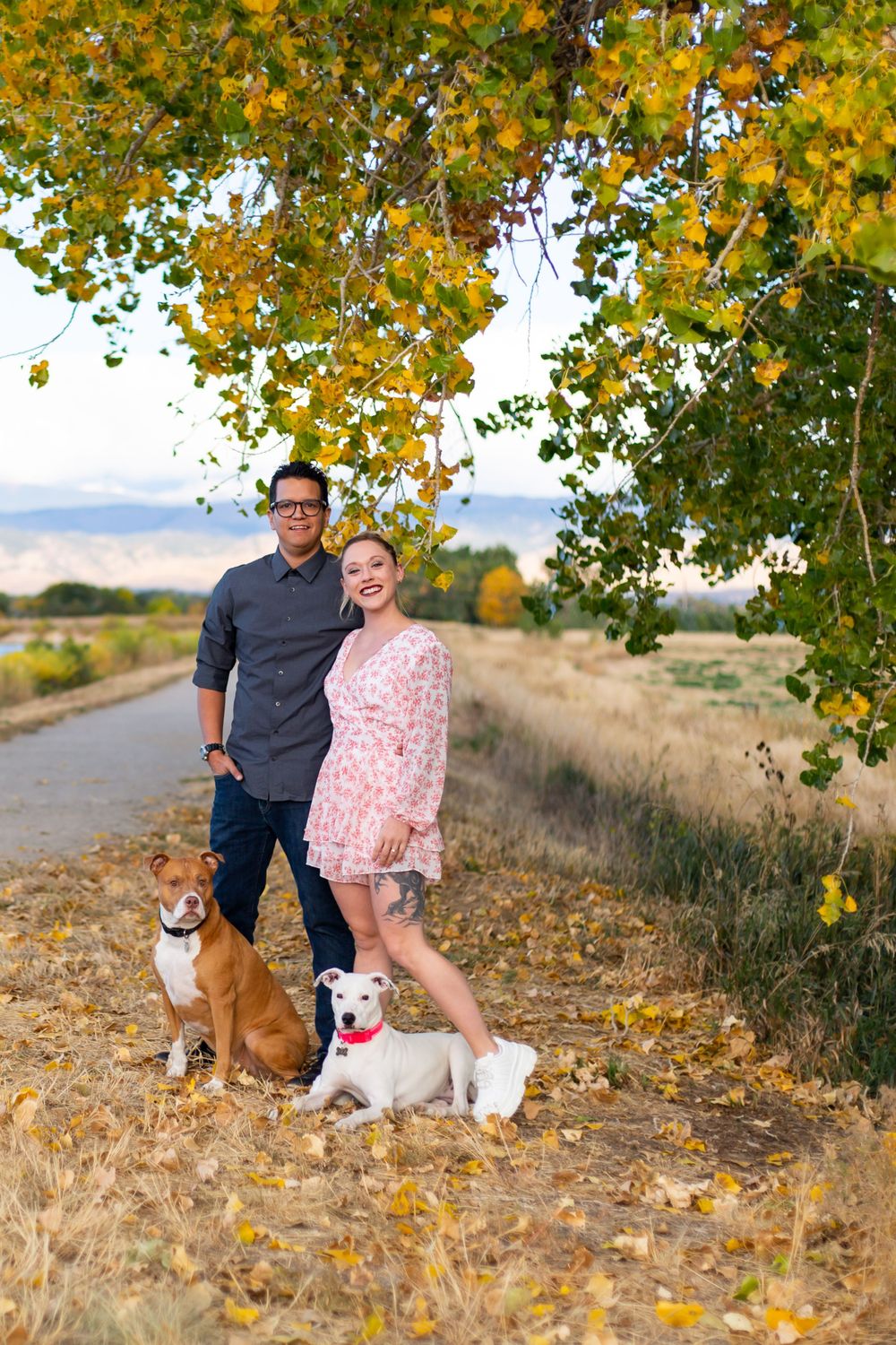 Colorado pet portrait photographer, Colorado pet photographer, Littleton pet photographer