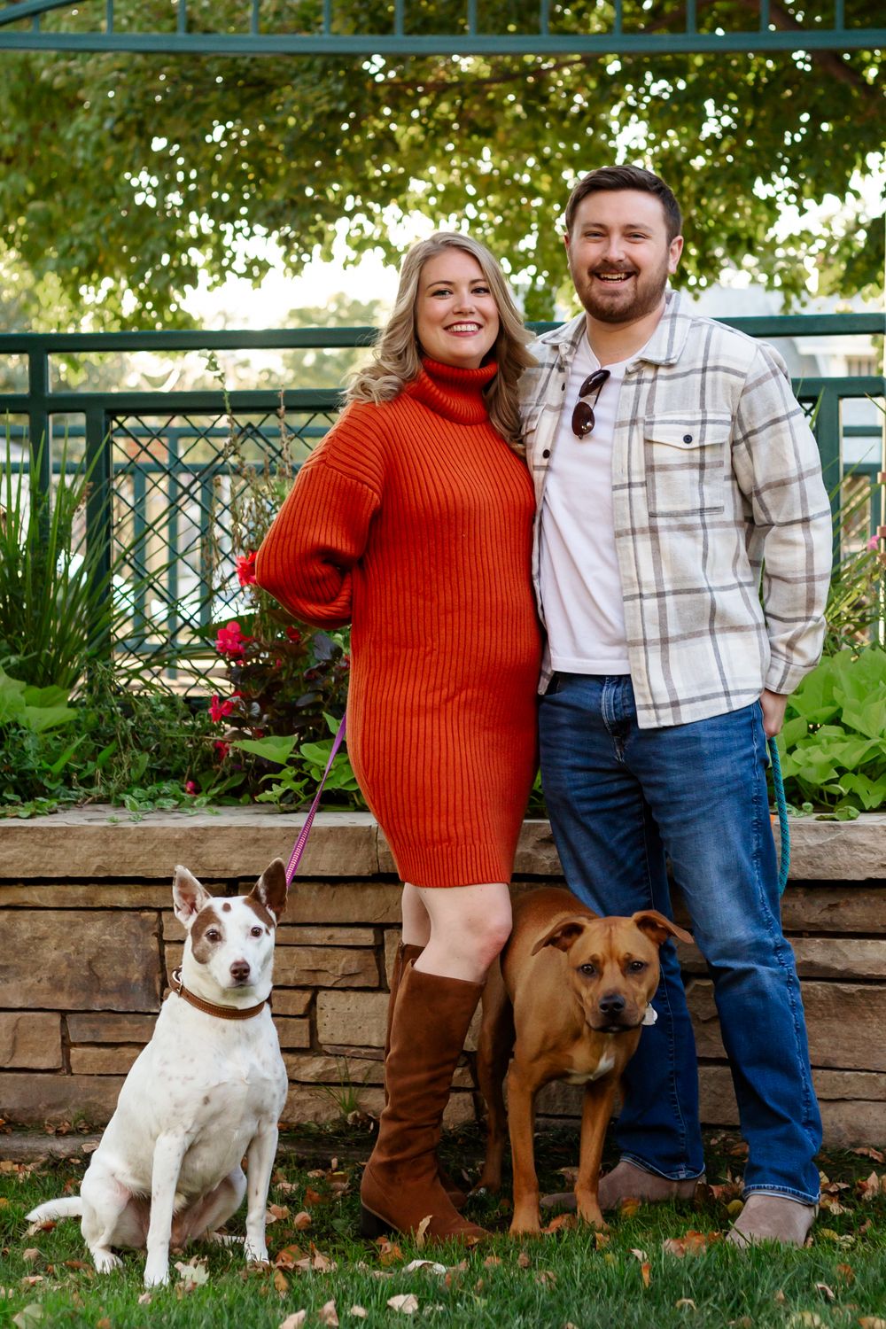 Colorado dog portrait photographer, Colorado dog photographer, Littleton dog photographer, Denver dog photographer