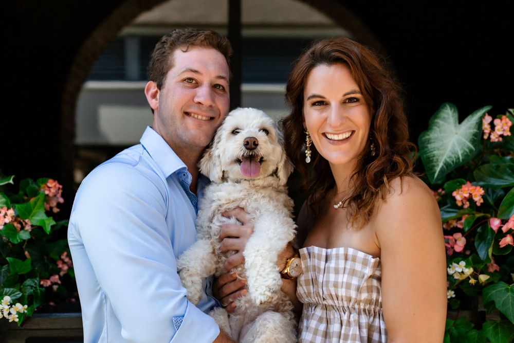 Colorado pet portrait photographer, Colorado pet photographer, Littleton pet portrait photographer