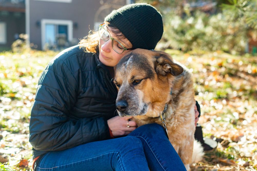 Colorado pet portrait photographer, Colorado pet photographer, Denver pet photographer, Denver pet portrait photographer