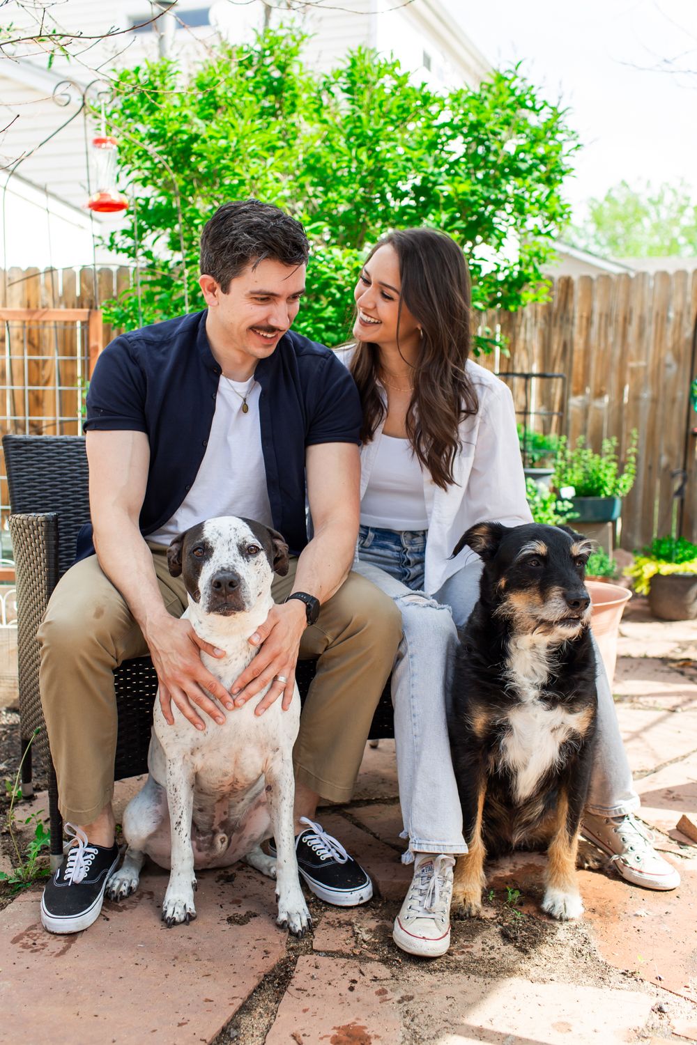 Colorado pet portrait photographer, Colorado pet photographer, Littleton pet photographer