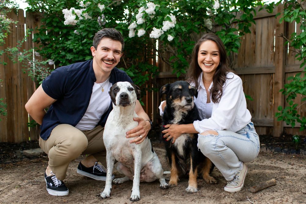 Colorado pet portrait photographer, Colorado pet photographer, Littleton pet photographer