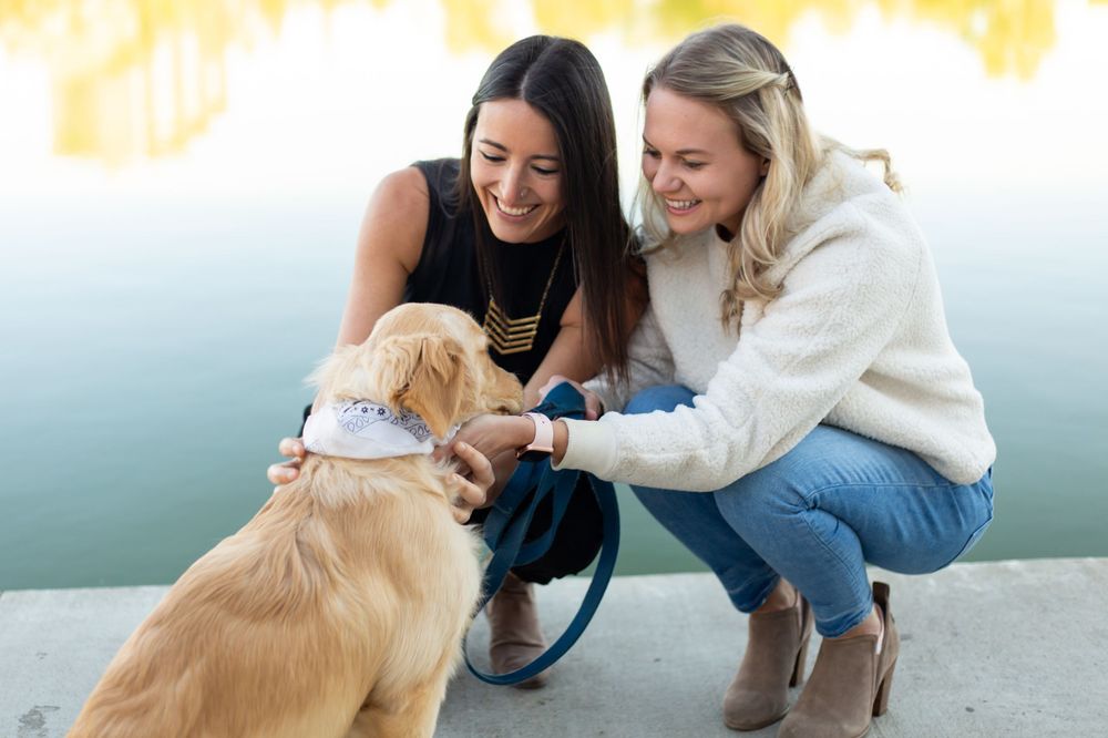 Colorado pet portrait photographer, Colorado pet photographer, Littleton pet portrait photographer