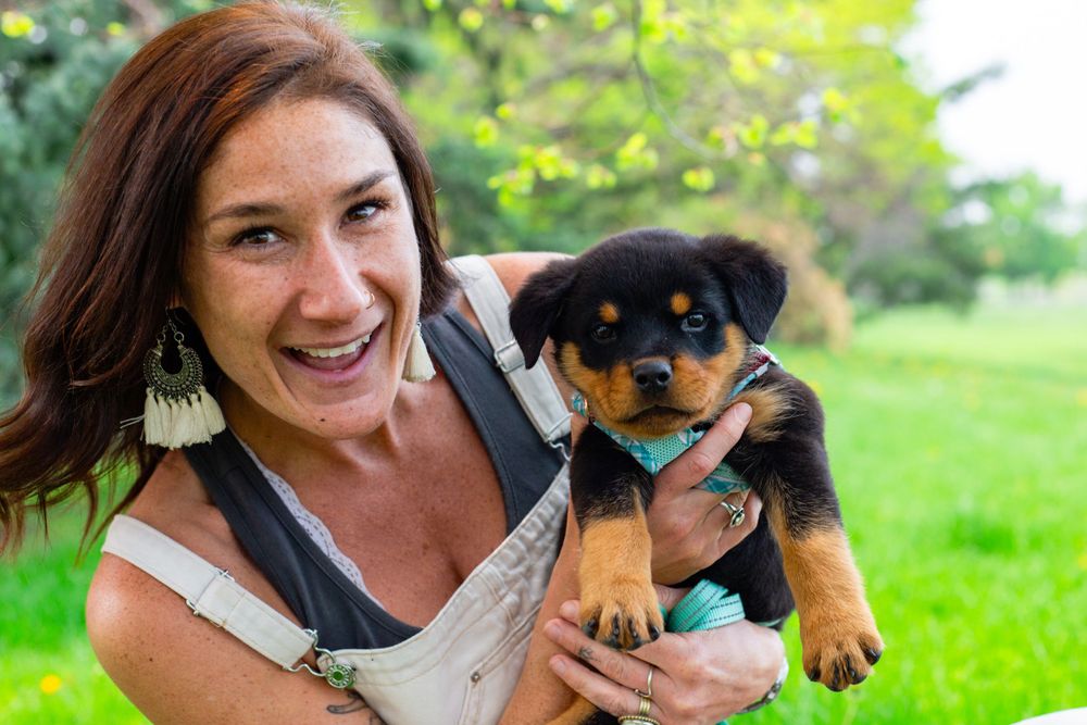 Colorado pet portrait photographer, Colorado pet photographer, Littleton pet photographer