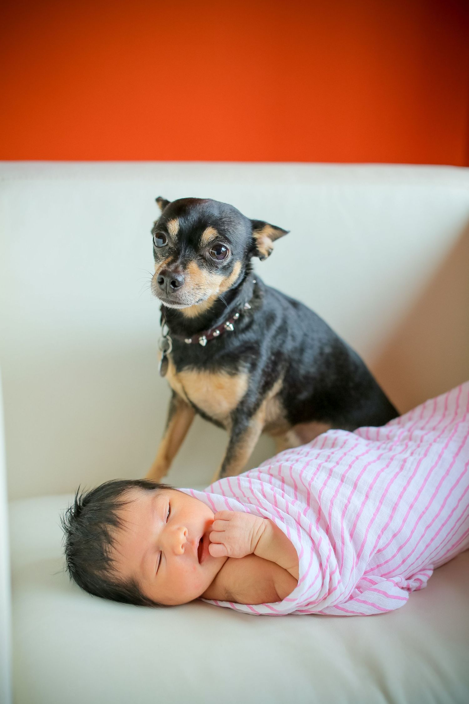 A sleeping baby in striped clothing lies next to a watchful black and tan dog.