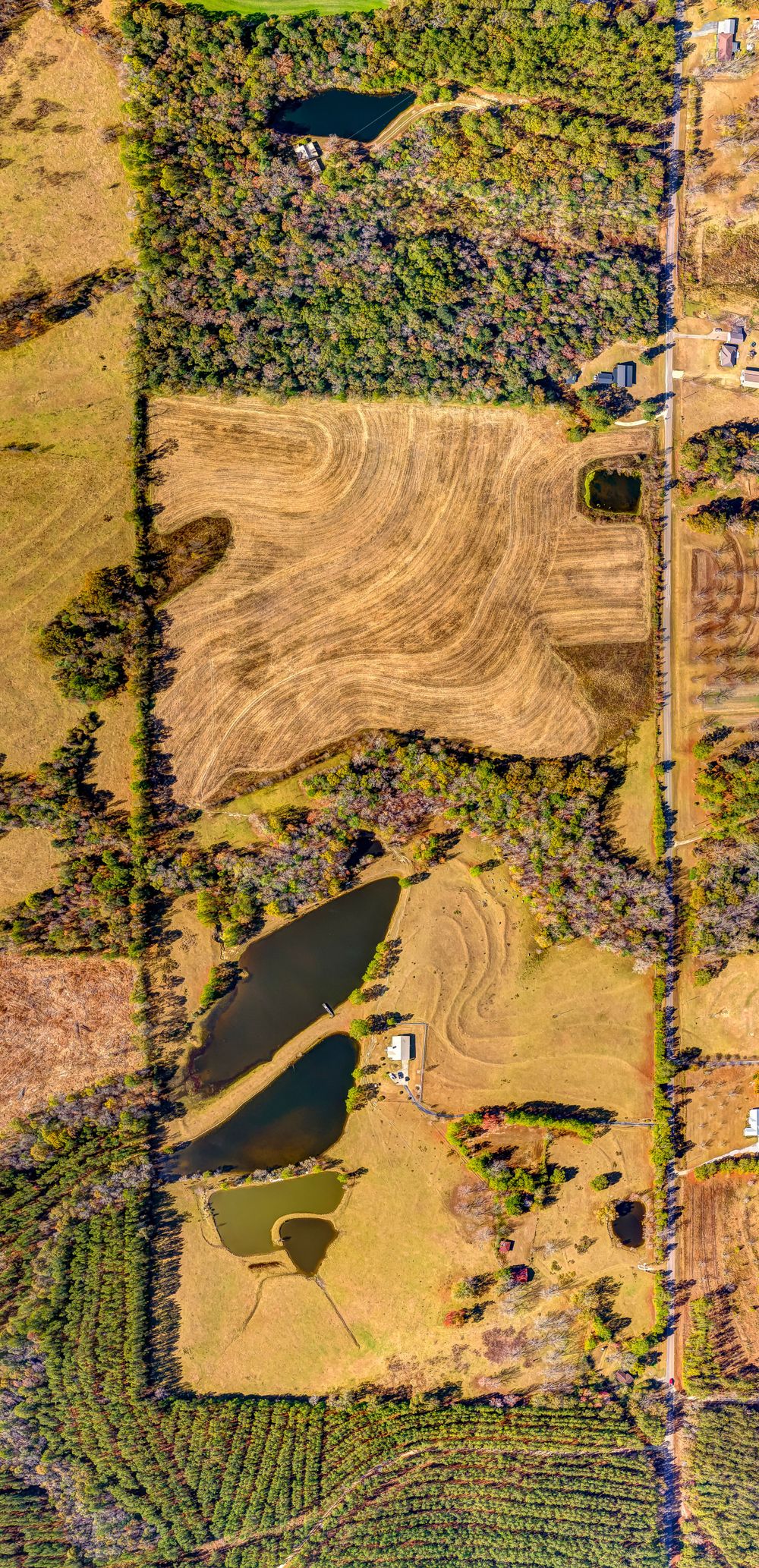 Aerial view of agricultural fields with curved contours and small ponds bordered by dense forest.