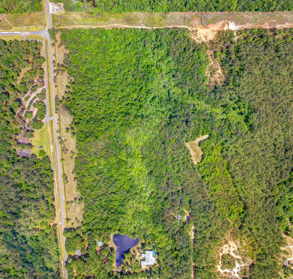 Aerial photograph of green forest land divided by straight roads and small clearings.