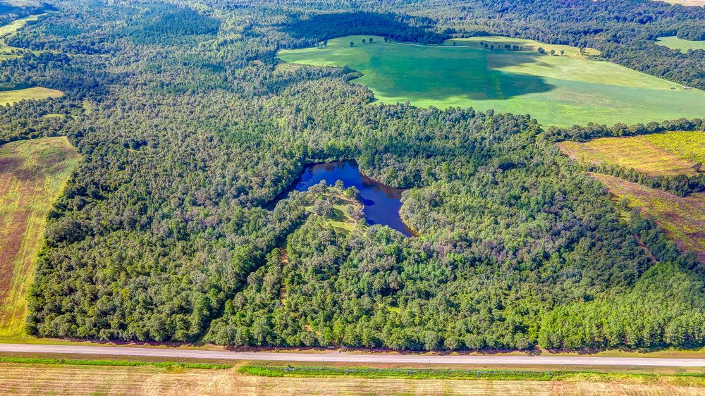 Aerial view of a small blue lake surrounded by dense forest and agricultural fields on the horizon.