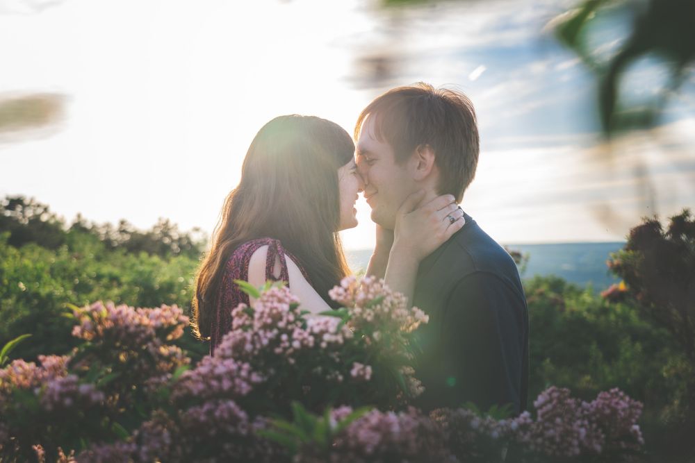 A couple shares a romantic moment at sunset with pink flowers in the background.