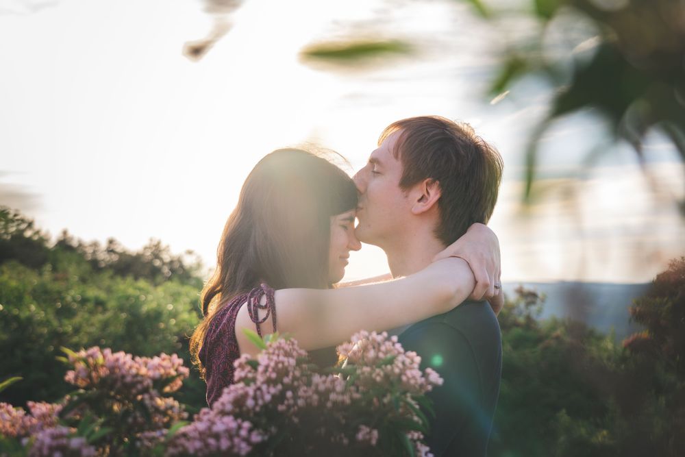 Two people embrace in golden sunlight with flowering bushes behind them.
