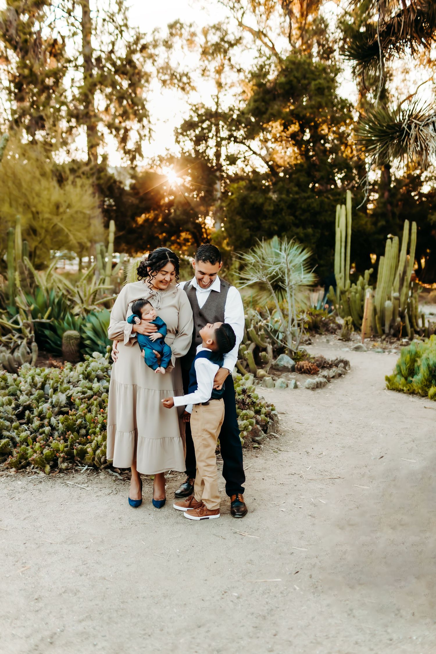 Cactus garden session