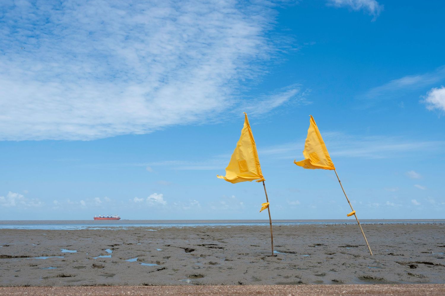 Seawall Guyana