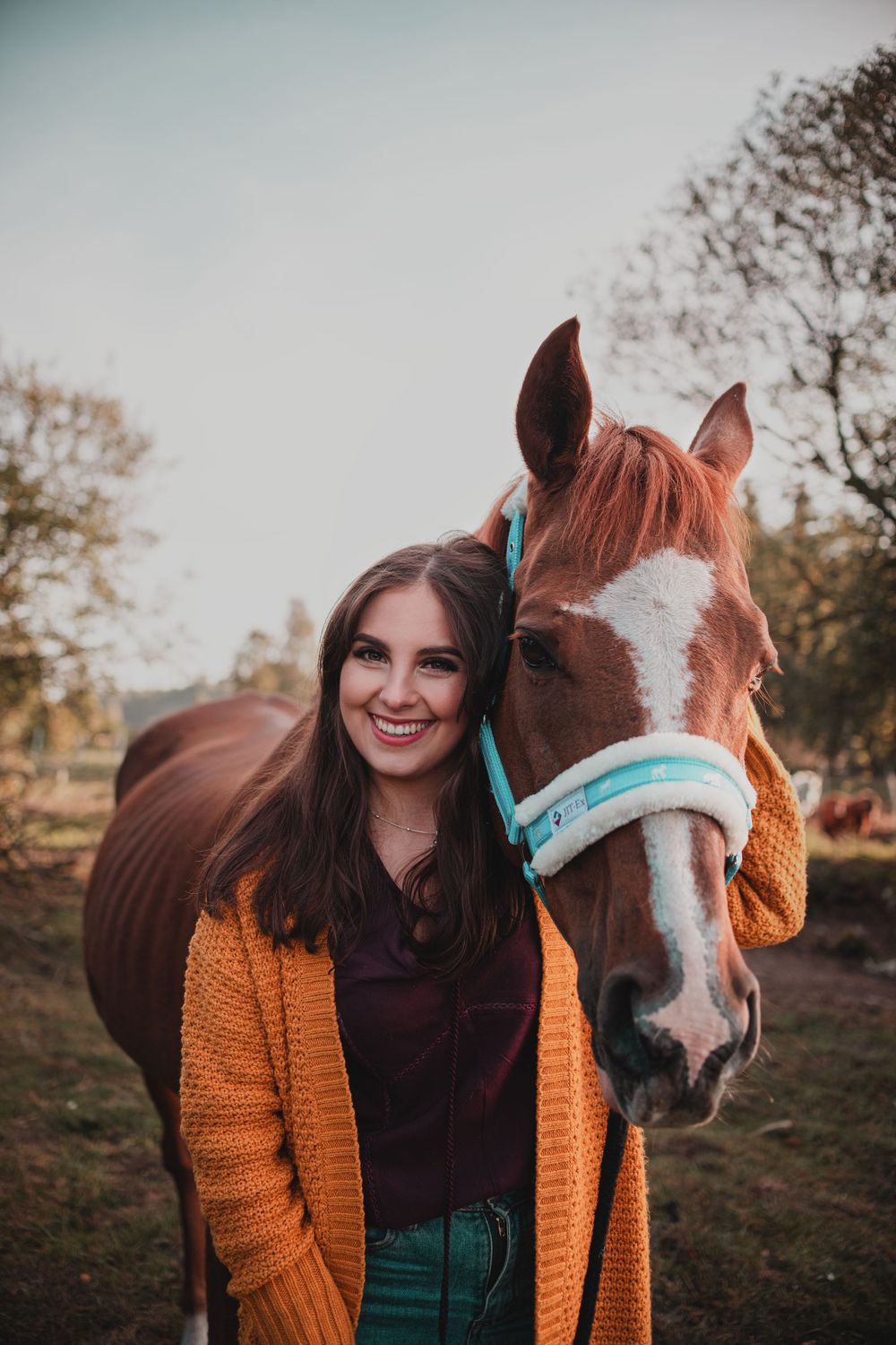 Autumn portrait with a friendly brown and white horse wearing turquoise halter.