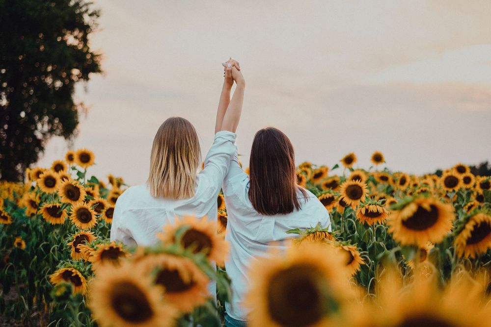 Two people standing together in a vibrant field of sunflowers at sunset.