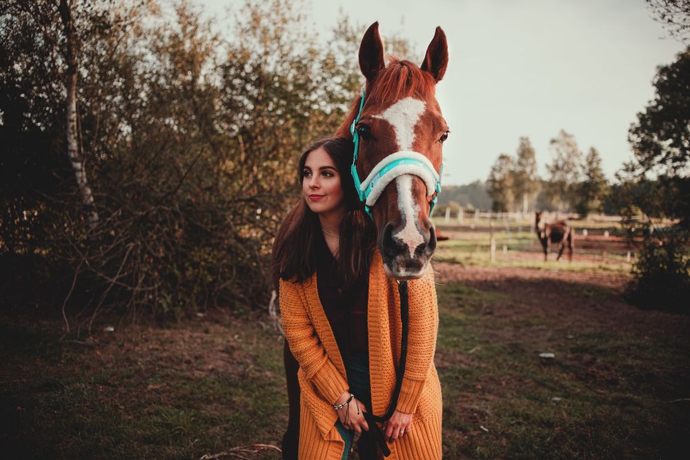 Rustic outdoor portrait with brown horse wearing turquoise tack against fall foliage.