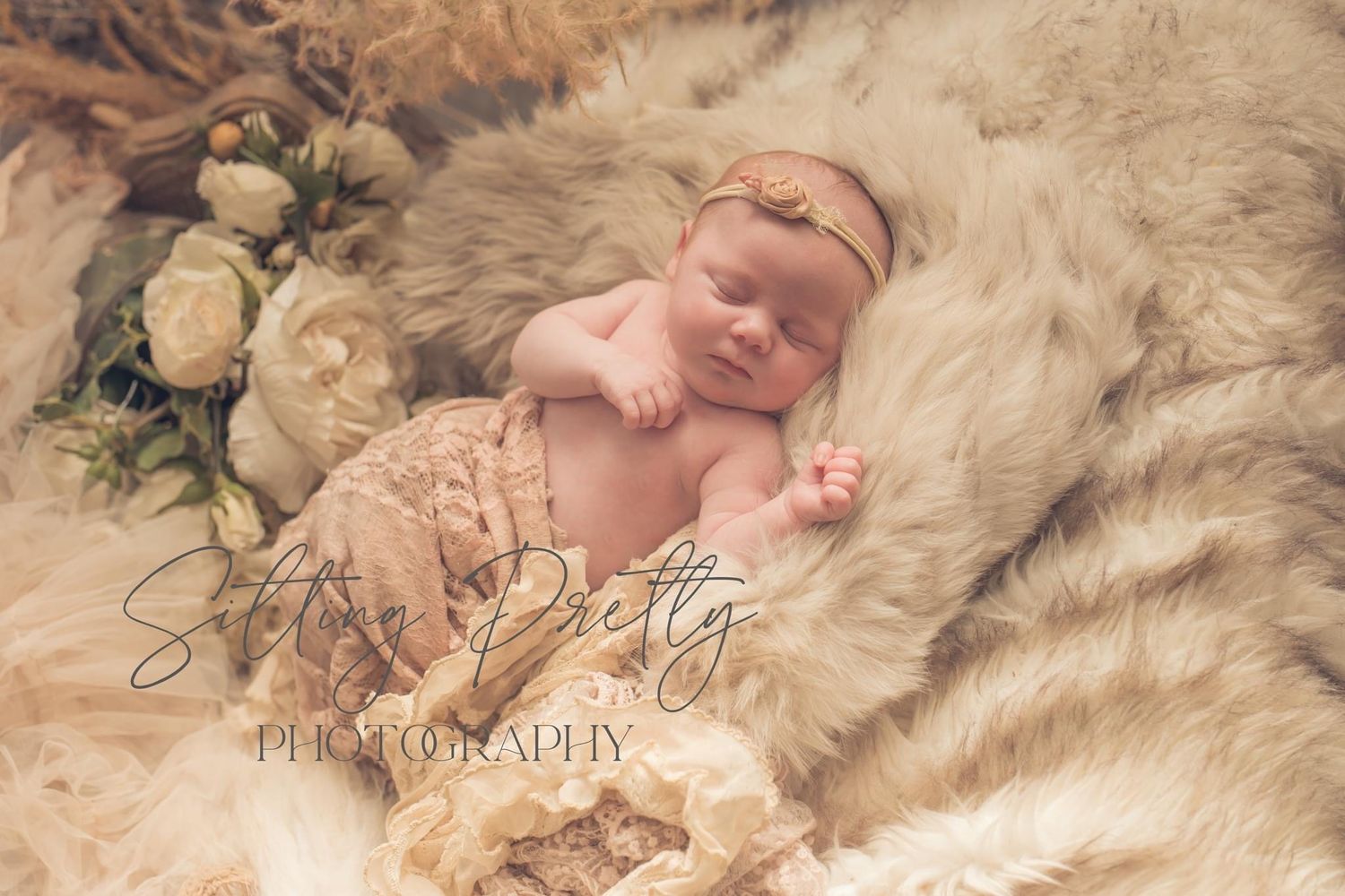 Sitting Pretty Photography Portfolio Newborn 6